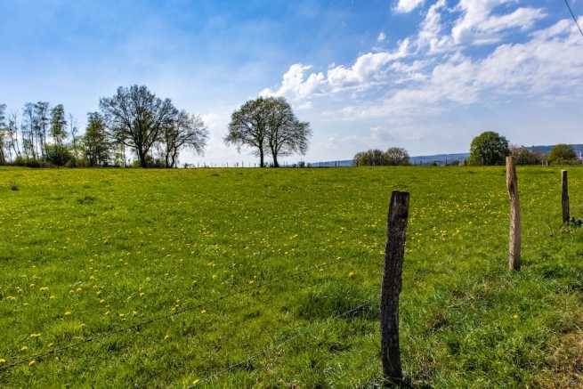 Przekształcenie działki leśnej w rolną, czy to możliwe i jak się do tego przygotować?