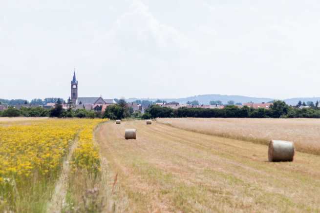 Użytkowanie gruntu przez osobę trzecią a możliwe zasiedzenie